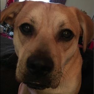 Meet your Posher, Nychol